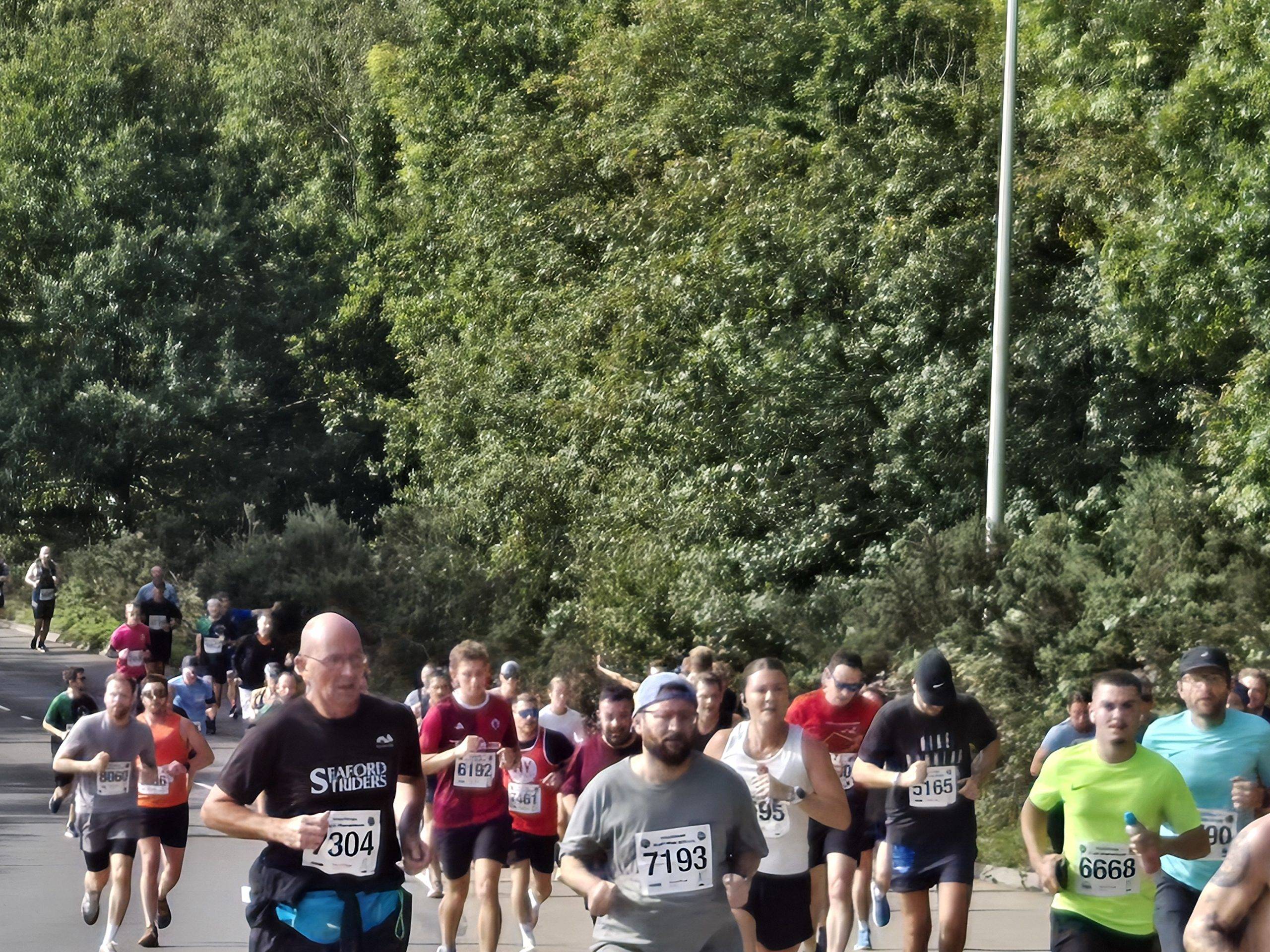 Hastings Half Marathon 2025